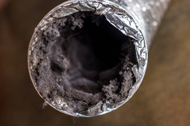 Best Air Duct Cleaning Near Me  in Southchase, FL