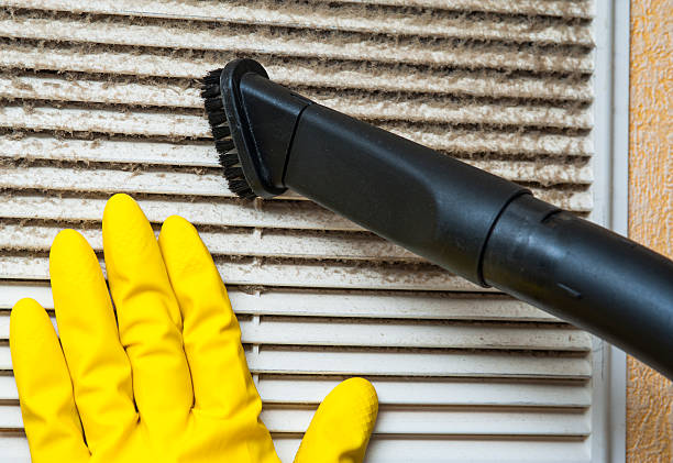 Best Local Air Duct Cleaning Services  in Southchase, FL